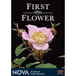 NOVA: First Flower
