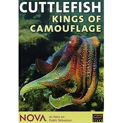 NOVA: Cuttlefish - Kings of Camouflage