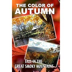 The Color of Autumn 