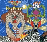 Hey Venus! by Super Furry Animals
