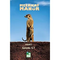 Meerkat Manor Season 2 - Episode: 5-7