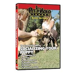 SOCIALIZING YOUR PUPPY DVD! Start your Dog on the Right Paw! Canine Fundamentals Training Video