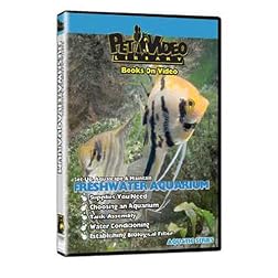 FRESHWATER FISH AQUARIUM DVD!