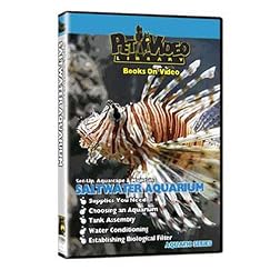 SALTWATER FISH AQUARIUM DVD! Set-up, Aquascape & Maintenance