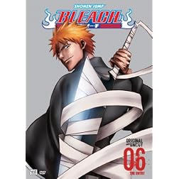 Bleach, Volume 6: The Entry (Episodes 21-24)