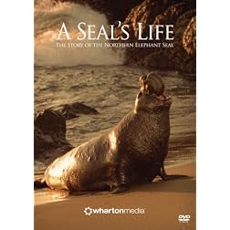 A Seal's Life - The Story of the Northern Elephant Seal