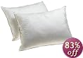 Dream Supreme Plus 100% Gel Filled Standard Pillows, Set of 2