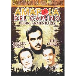 Amapola Del Camino