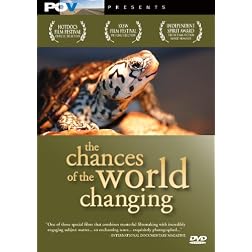 The Chances of the World Changing