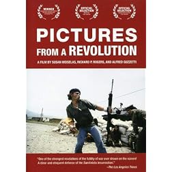 Pictures from a Revolution