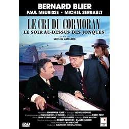 Cri Du Cormoran Le Soir Au Dessus Des Jonques