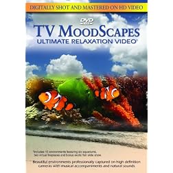 TV Moodscapes: Ultimate Relaxation Video