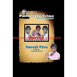 Robert Townsend presents Partners in Crime Next Generation: Small Fire