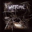 The Somatic Defilement