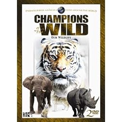 Champions of the Wild: Bengal Tigers & White Rhino