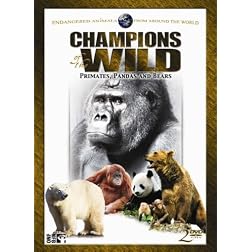 Champions of the Wild: Pandas & Bears (2pc)
