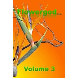Floral Design By The Flowergod Volume 3