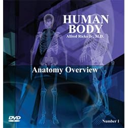 Human Body - Anatomy Overview