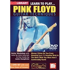 Learn to Play...Pink Floyd Guitar Techniques