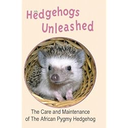 Hedgehogs Unleashed
