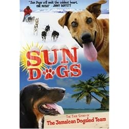 Sun Dogs