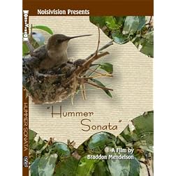 Hummer Sonata