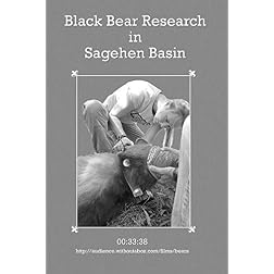 Black Bear Research in Sagehen Basin