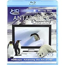 Antarctica Dreaming [Blu-ray]
