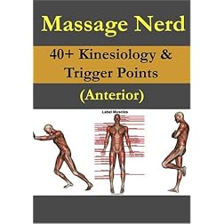 40+ Kinesiology & Trigger Points Anterior