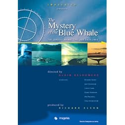 The Mystery of the Blue Whale