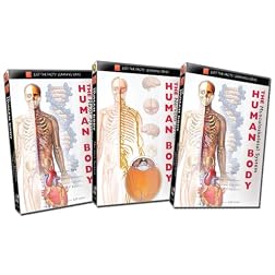 The Human Body