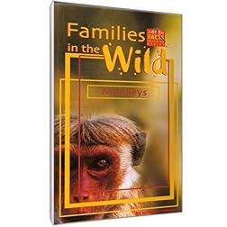Families In The Wild: Monkeys