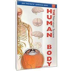 The Human Body: Nervous System