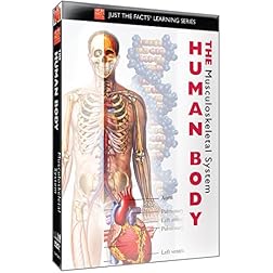 The Human Body: Musculoskeletal