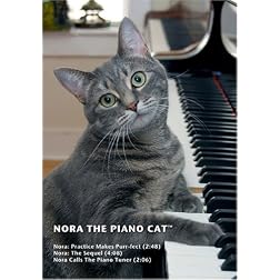 Nora The Piano Cat(tm)