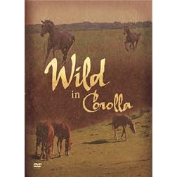 Wild in Corolla