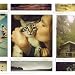 Vente de Livres.com : My Friends all Died in a Plane Crash