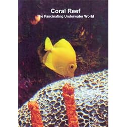 Relaxation: Coral Reef (The Fascinating Underwater World)