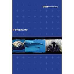 Ultramarine