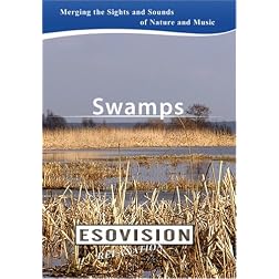 ESOVISION Relaxation  SWAMPS