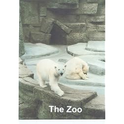 Relaxation: The Zoo