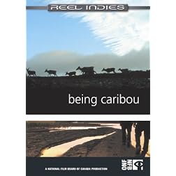 Being Caribou
