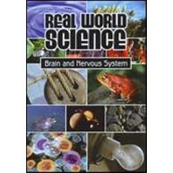 Real World Science: Brain and Nervous System