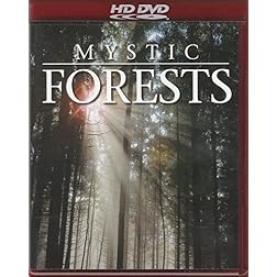 Mystic Forest
