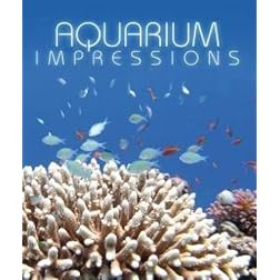 Aquarium Impressions