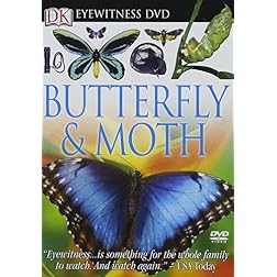 Eyewitness: Butterfly and Moth
