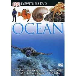 Eyewitness: Ocean