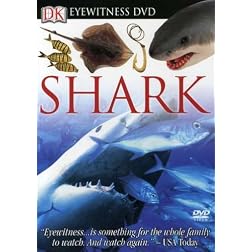 Eyewitness: Shark