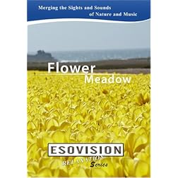 ESOVISION Relaxation  FLOWER MEADOW