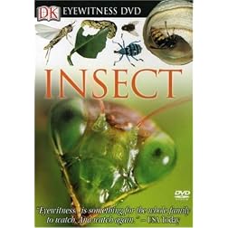 Eyewitness: Insect
